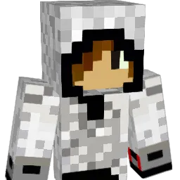 Denote Minecraft avatar bust