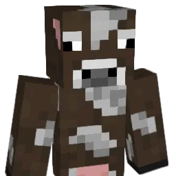 DerCooC's Minecraft skin
