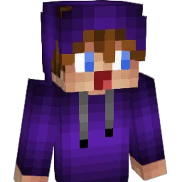 DerFurie Minecraft avatar bust