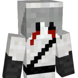 Derangement Minecraft avatar bust