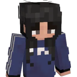 DerinThePro1 Minecraft avatar bust