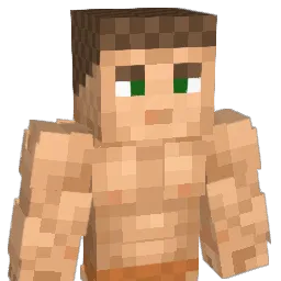 Descente's Minecraft skin