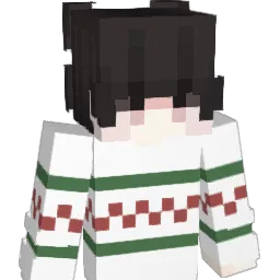 Descriptor Minecraft avatar bust