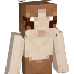 DesignedPlot51 Minecraft avatar bust