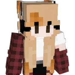 Desje_LT Minecraft avatar bust