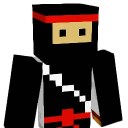 Destructor_BR Minecraft avatar bust