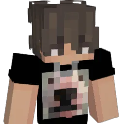 DevSmiley Minecraft avatar bust