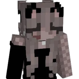 DevTimmo Minecraft avatar bust