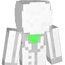 DevilMayCryFan55 Minecraft avatar bust
