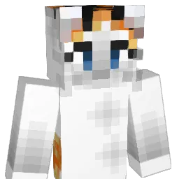 DewiVlinder Minecraft avatar bust