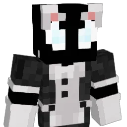 Dexterss_ Minecraft avatar bust