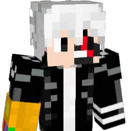 DezVn4 Minecraft avatar bust