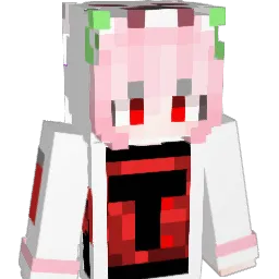 Dfuneral Minecraft avatar bust