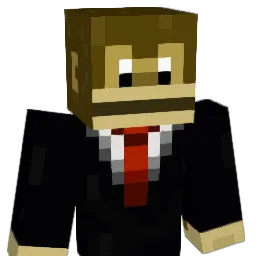 Dgj11 Minecraft avatar bust