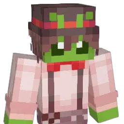 Dgo08 Minecraft avatar bust