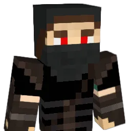 Dgrey Minecraft avatar bust