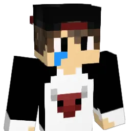 Dgzin_ Minecraft avatar bust