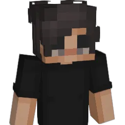 Dhruv Minecraft avatar bust
