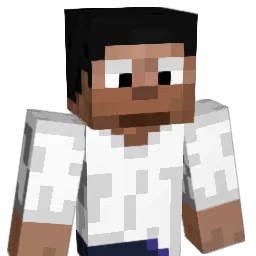Dhruvvvy Minecraft avatar bust
