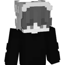 DiDi556 Minecraft avatar bust