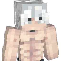 DiNOBOYx56 Minecraft avatar bust