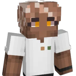 Di_Di__ Minecraft avatar bust