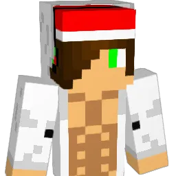 DiamondDude106 Minecraft avatar bust