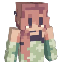 DiamondLirt52 Minecraft avatar bust