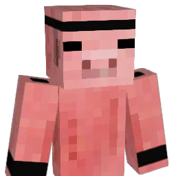 DiamondZz3 Minecraft avatar bust
