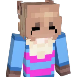 Diamondawg35 Minecraft avatar bust