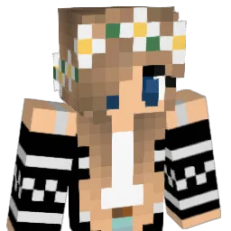Diamondman50 Minecraft avatar bust