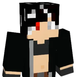 Diamondwolfes15 Minecraft avatar bust