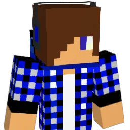 Dianjon Minecraft avatar bust
