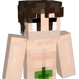 DicclezzFemboy Minecraft avatar bust