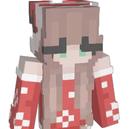 Didaboo123 Minecraft avatar bust