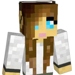 Diddi246 Minecraft avatar bust