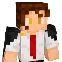 DiddyWilly's Minecraft skin