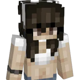 Didiiii1 Minecraft avatar bust