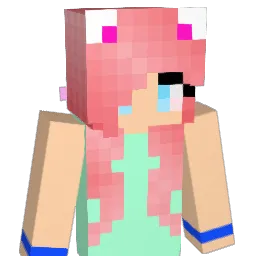 Didistar Minecraft avatar bust