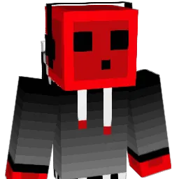 Didrik9 Minecraft avatar bust