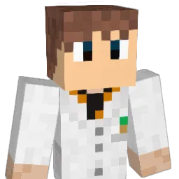 DieSuppe2_0 Minecraft avatar bust