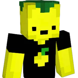 DiegoRG06 Minecraft avatar bust