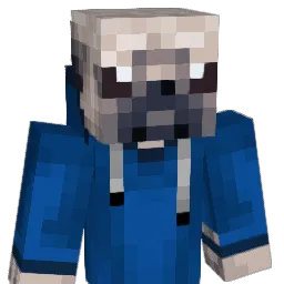 DieterSchnitzel Minecraft avatar bust
