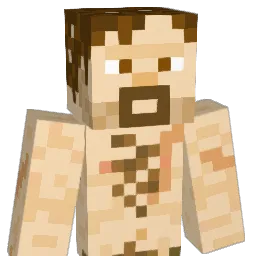 Diflague Minecraft avatar bust