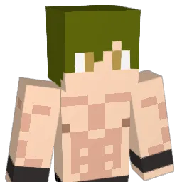Diich4va_01 Minecraft avatar bust