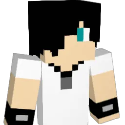 Diksi14 Minecraft avatar bust
