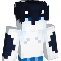 DilemmaSystem's Minecraft skin