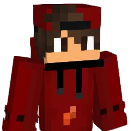 Dilpreet1222 Minecraft avatar bust