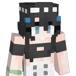 DimensionStudio's Minecraft skin