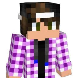 Dimension_Jester Minecraft avatar bust